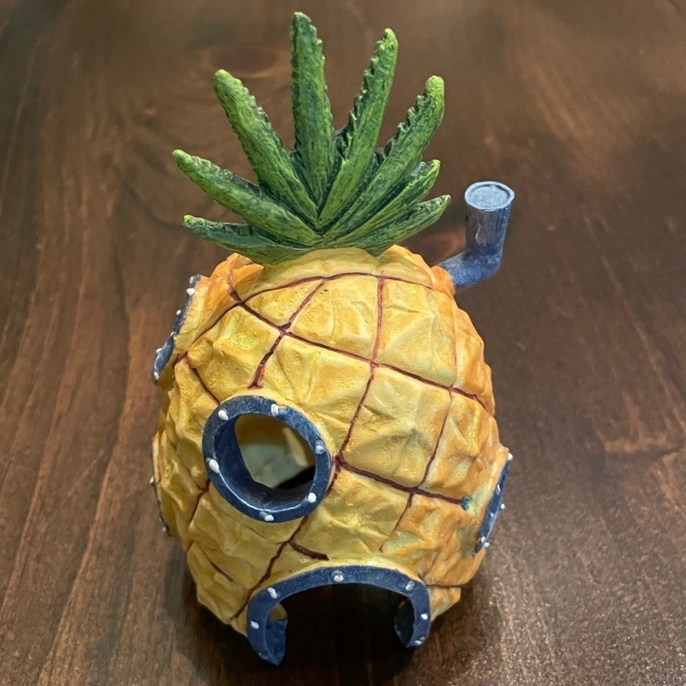 Fish tank Decoration/ pineapple playhouse
